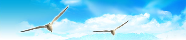 two_birds.jpg